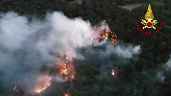 Waldbrände bei Triest