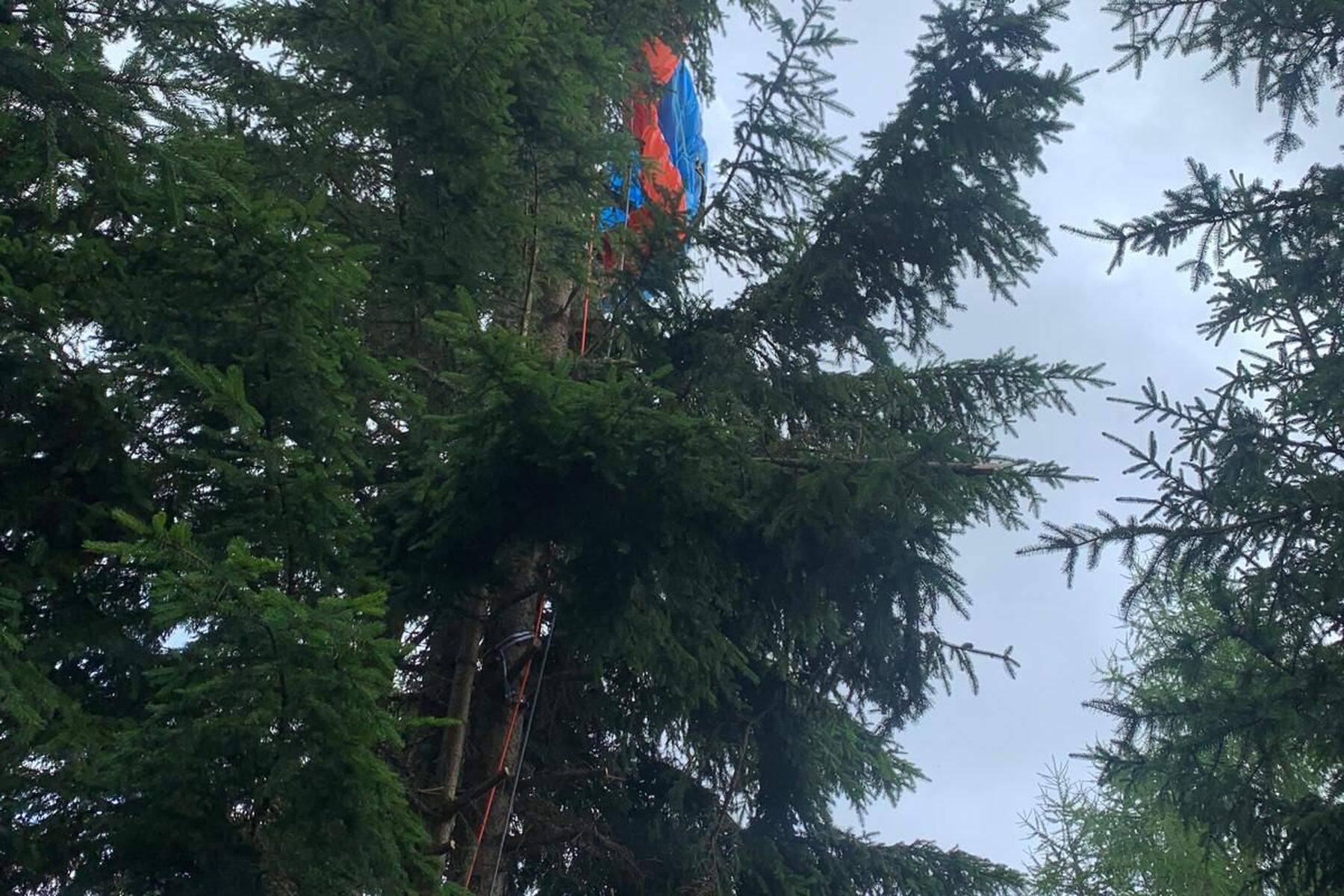 In 15 Meter Höhe: Paragleiter gerät in Kärnten in Not und landet in Baum
