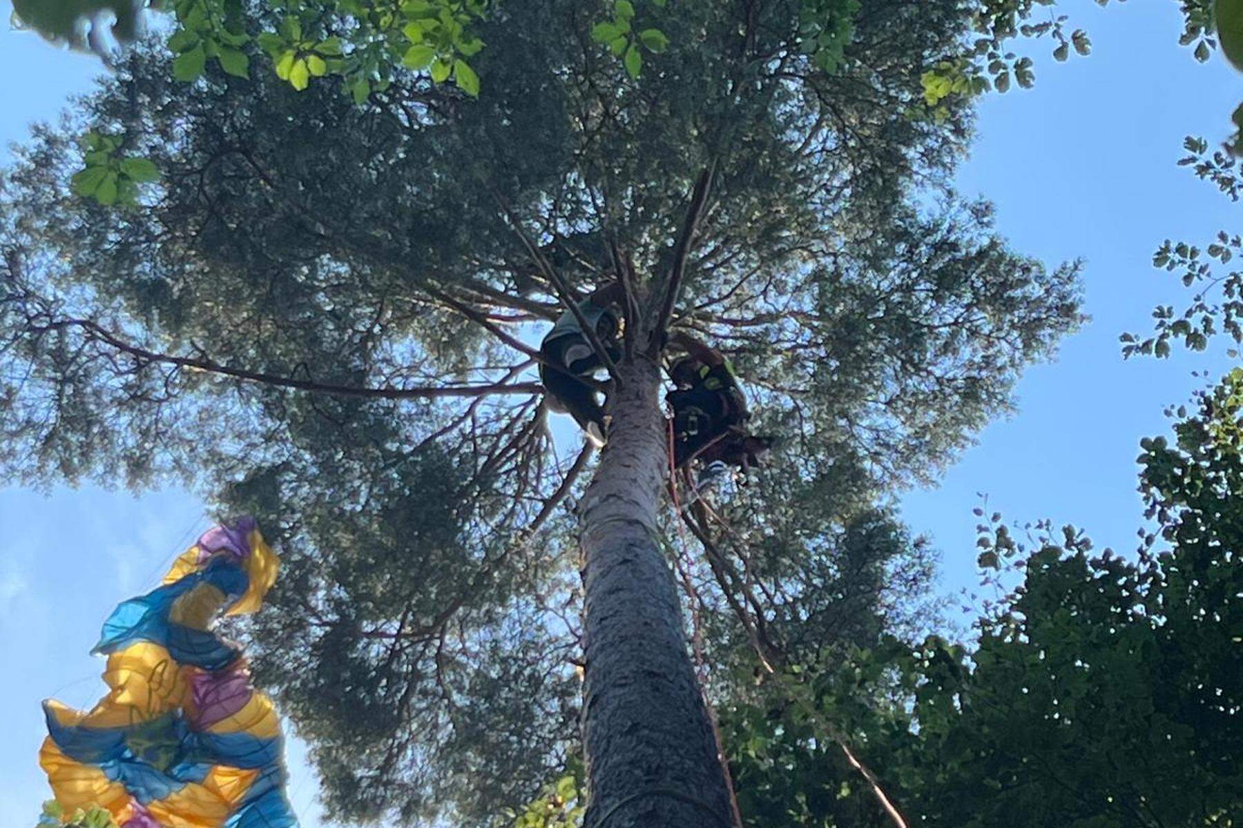 Unfall in Kärnten: Paragleiter stürzt ab und bleibt in 30 Meter Höhe in Baum hängen