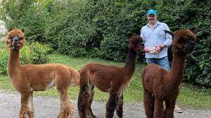 Helmigk hält seit 2022 Alpakas auf seinem Hof