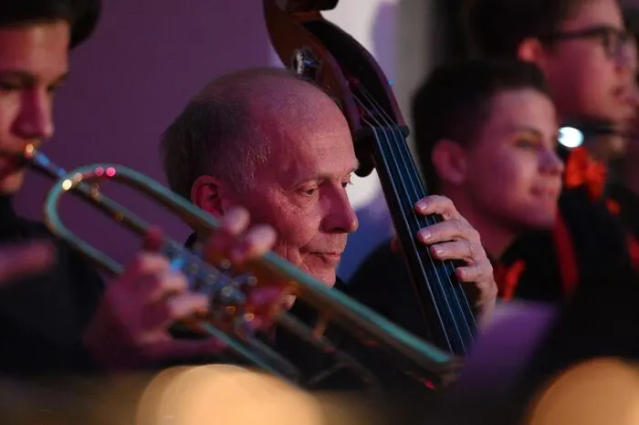 Mit instrumentaler Unterstützung ging es durch die magische Welt von Disneys Filmmusik