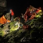 Bergretter in der Nacht bei Regen am Berg beim Schwerverletzten | Wegen der widrigen Umstände mussten die Bergretter die Nacht im steilen Gelände beim Schwerverletzten verbringen