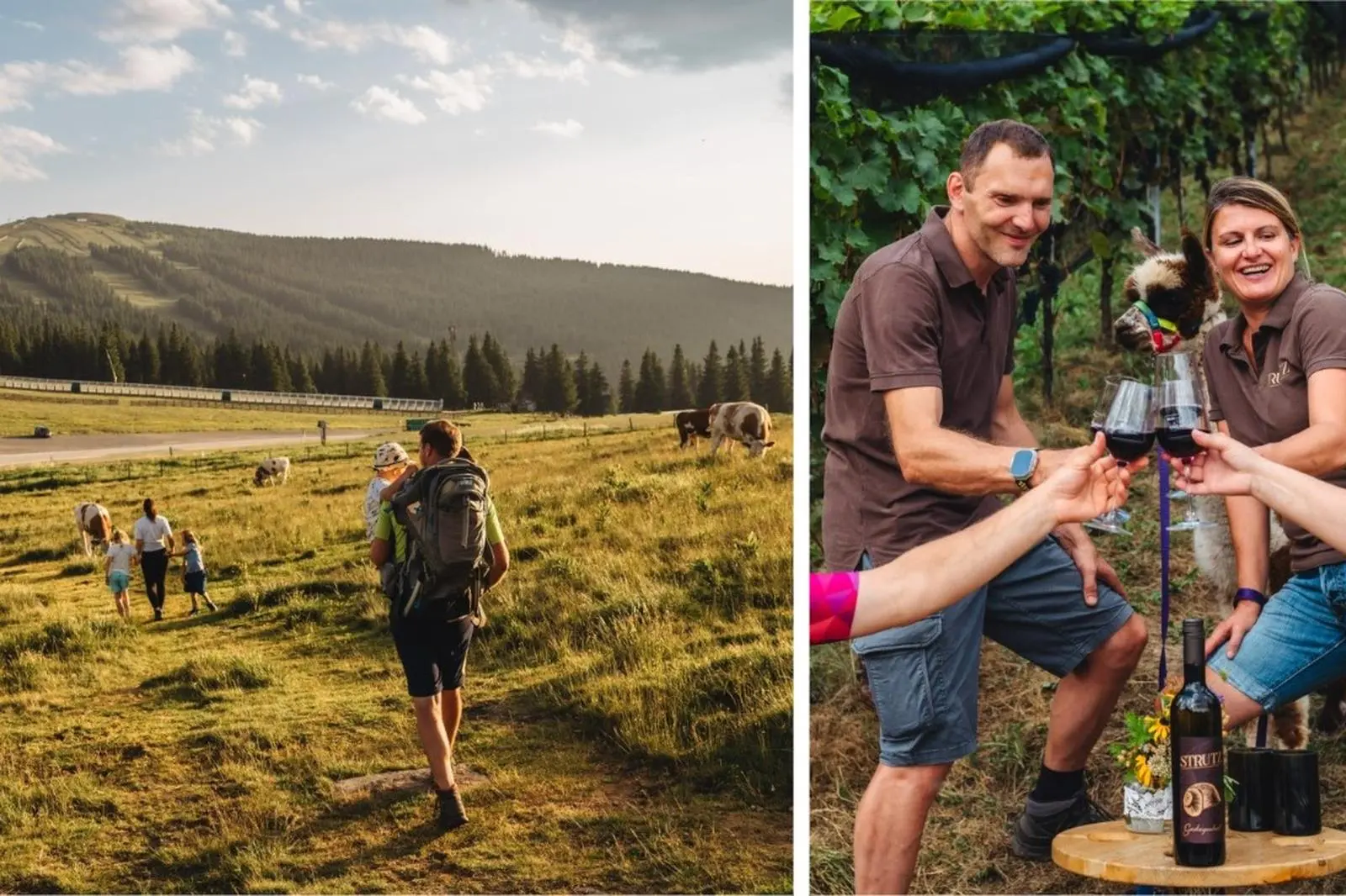 Lili fursova nude really nice hug and LK, shes not into