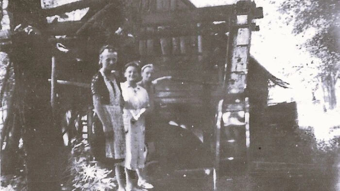Patekmühle in Bach (Gemeinde Neuhaus) in den späten 40er Jahren