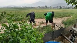 Der Langlbach sorgte schon mehrmals in St. Paul für Überflutungen