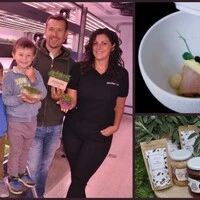 Am Hof von Simon Quendler in St. Andrä werden neben Kräutern nun auch Keimlinge, sogenannte „Microgreens“, gezüchtet