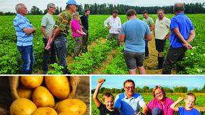 Kartoffelbauern bangen durch die extremen Wetterverhältnisse um ihre Erträge