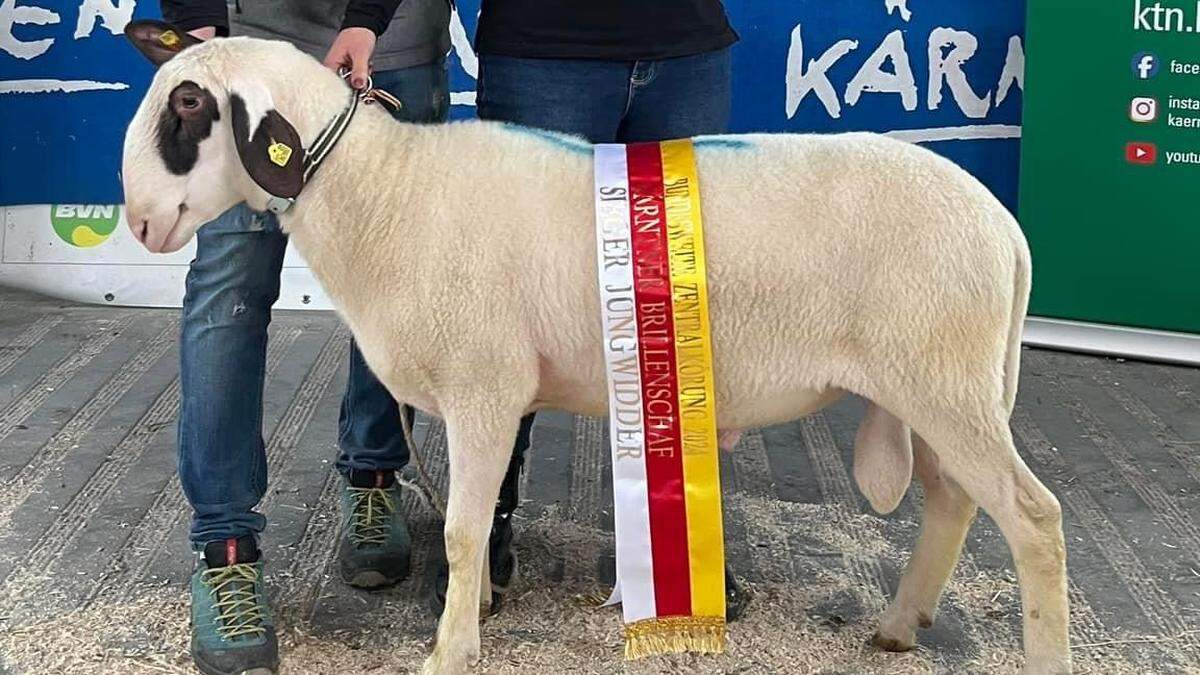 Marica Skubel mit Ehemann Gerhard und ihrem preisgekrönten Widder