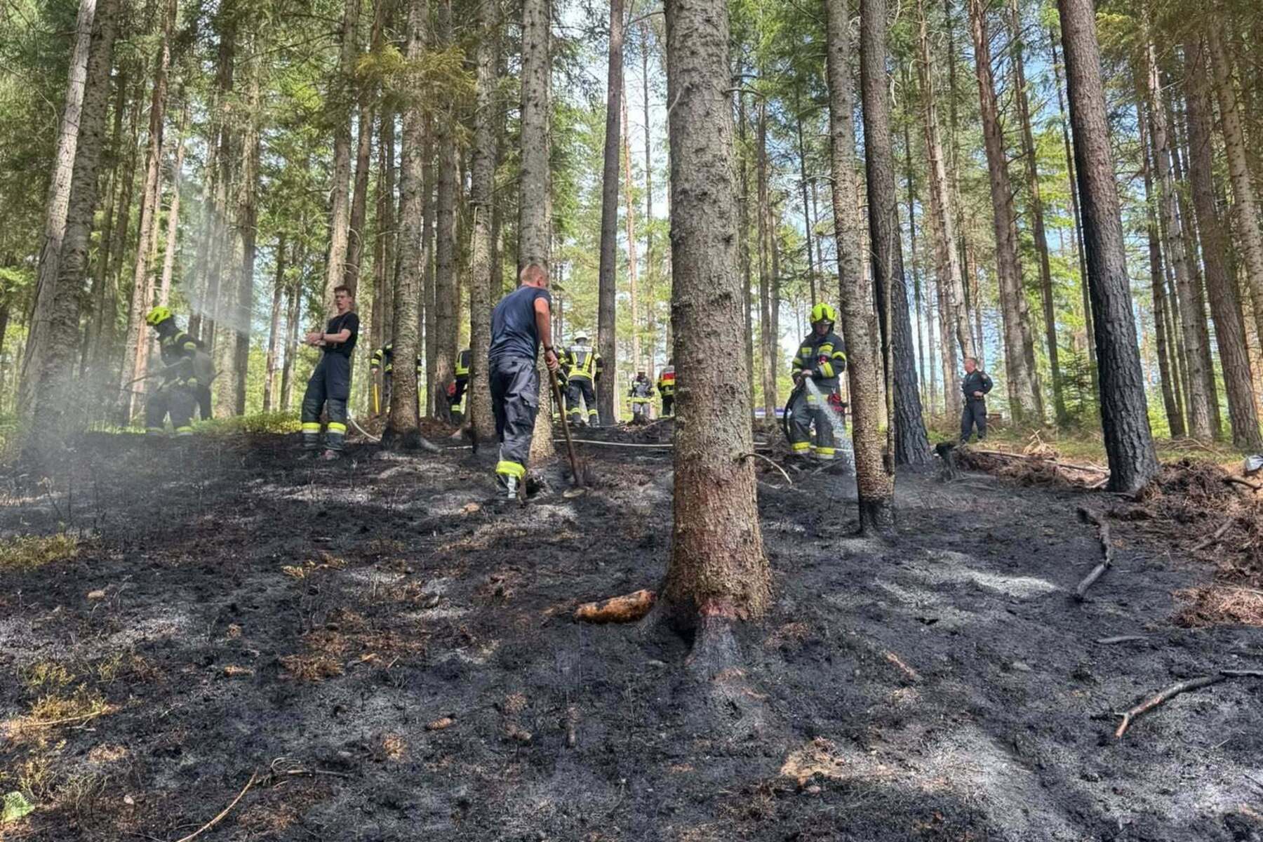 Gewitter und Sturmböen sorgen für mehrere Feuerwehreinsätze in Kärnten