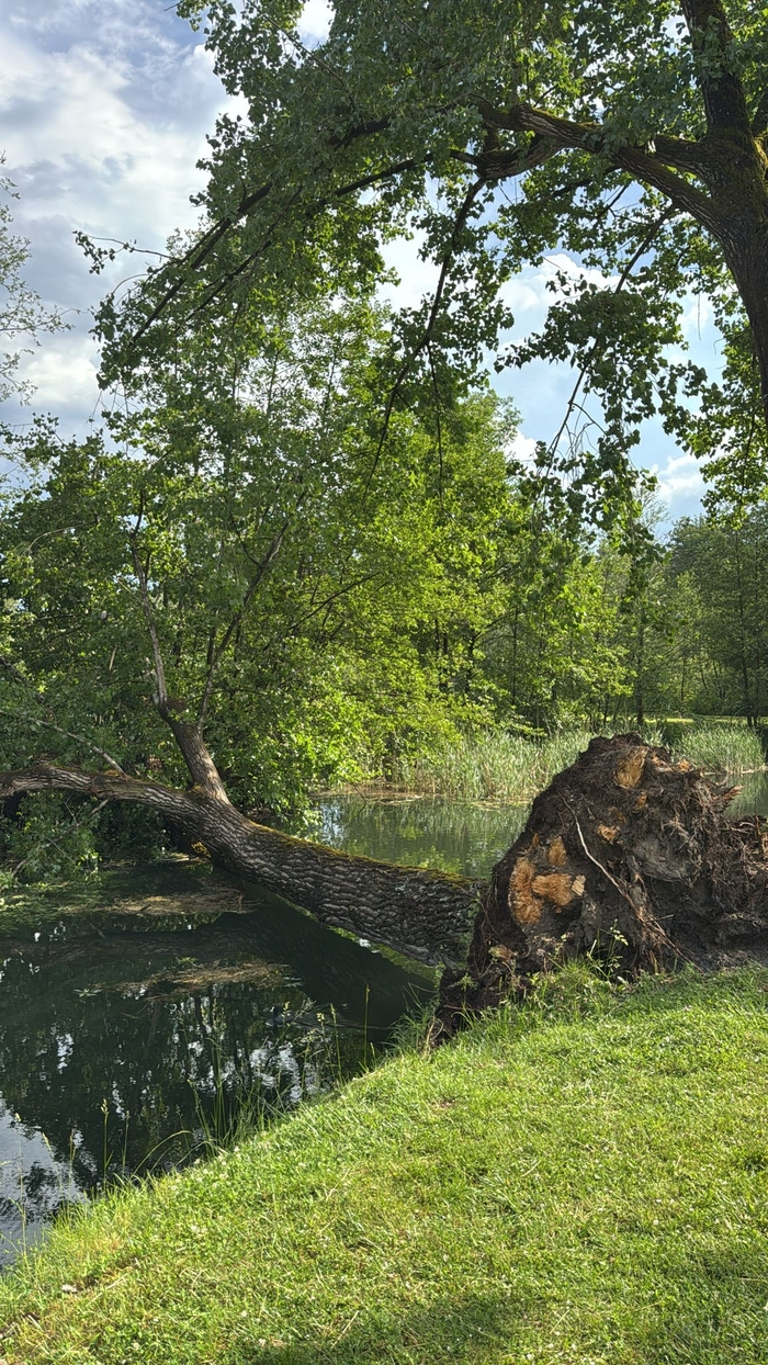 Der Sturm hatte eine immense Kraft