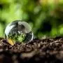 Glass globe on soil in environmental conservation and ecosystem concept.