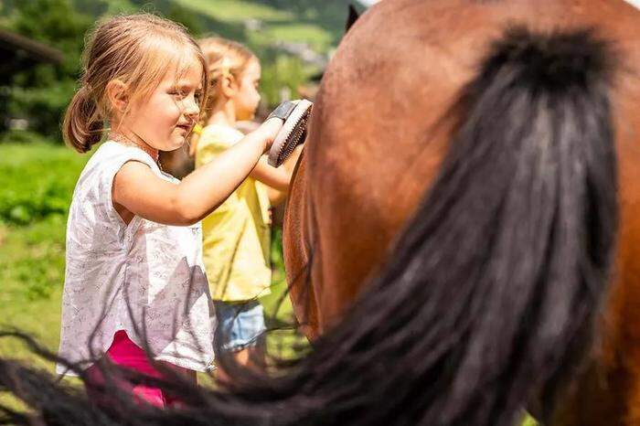 Am Trattlerhof können kleine Pferdefreunde Zeit mit den Tieren verbringen