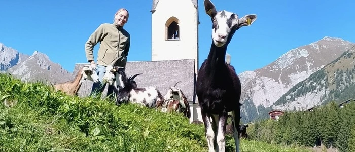 Eine junge Frau mit Ziegen auf einer Wiese
