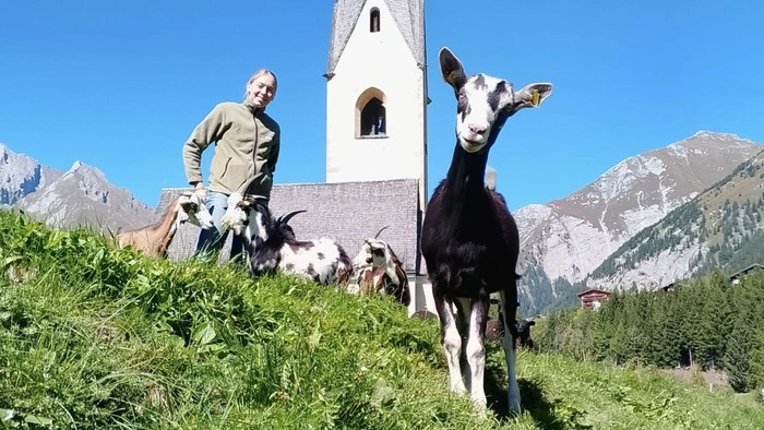 Eine junge Frau mit Ziegen auf einer Wiese