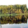 Um den Naturraum im Bereich des Egelsees zu schützen, werden die Steganlagen ergänzt und erneuert 