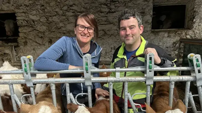 Johanna und Seppi sind inzwischen zusammengezogen