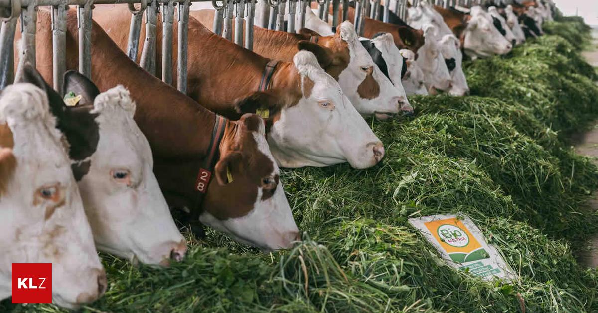 Steirer-kaufen-wieder-mehr-Bio-Lebensmittel-doch-es-fehlt-an-Bauern