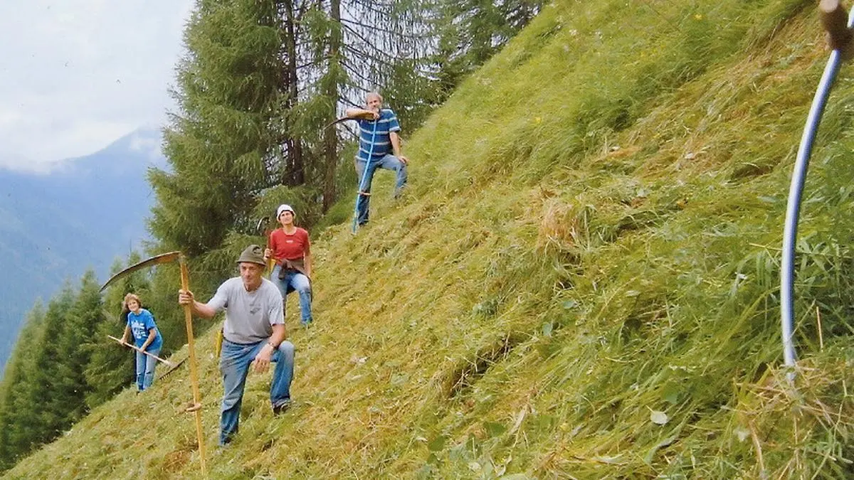 Die Bewirtschaftung von naturschutzfachlich hochwertigen Bergmähdern soll attraktiver gestaltet werden, das fordern die Bewirtschafter der Mussen-Alm