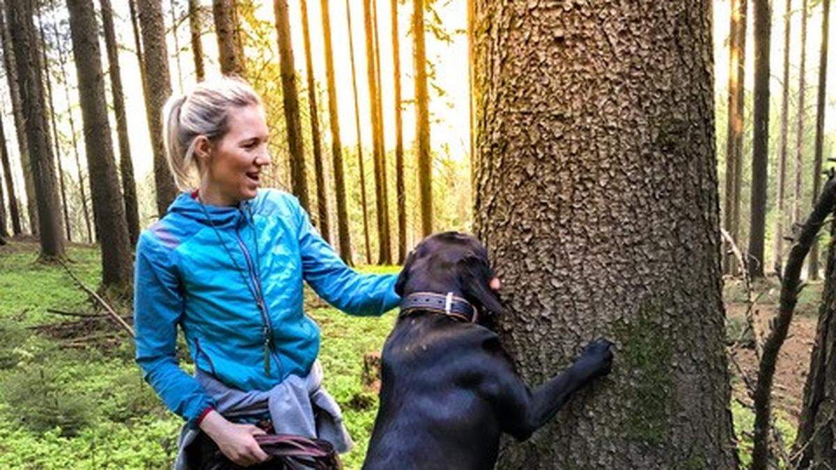Die Hunde machen ihre Besitzer auf die befallenen Bäume aufmerksam