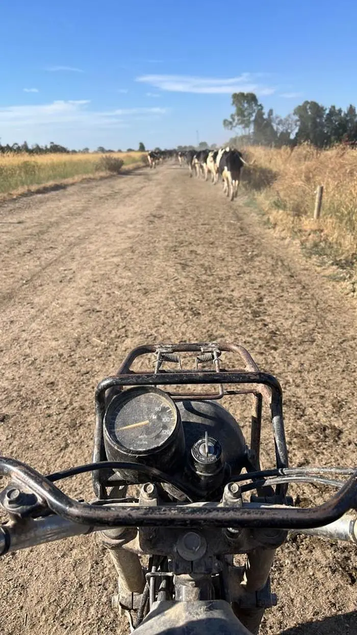 Die Spittalerin lernte dank ihrer Arbeit in heimischen Betrieben die australische Landwirtschaft kennen