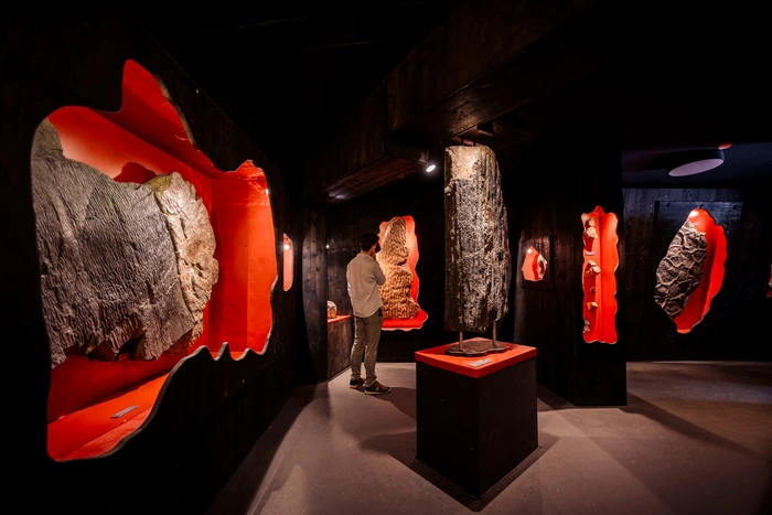 Die Ausstellung „Versteinerte Welten“ im Biosphärenpark-Zentrum Nockalmhof mit Fundstücken aus der Trias