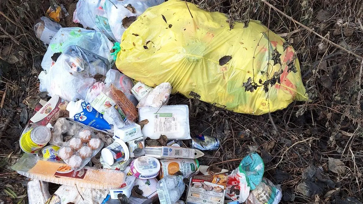 Vor wenigen Tagen wurden mehrere Müllsäcke im Nahbereich des Abfallwirtschaftsverbandes Spittal entsorgt