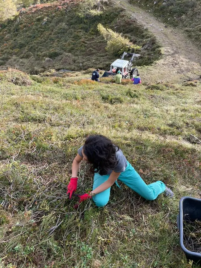 Die Säuberungsarbeit ist wichtig, damit die Almflächen nicht zuwachsen und unnutzbar werden