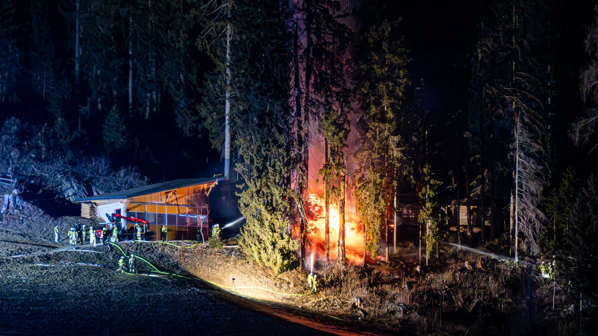 Ein Feuer nahe eines Waldstückes | Der Brand konnte rasch gelöscht werden