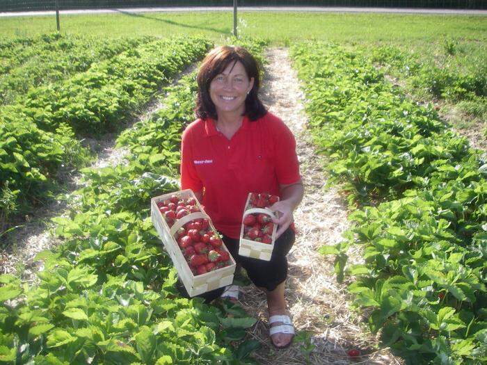 Martina Schoaß von der „Erdbeeroase“ suchen noch Erntehelfer