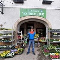 In den Glashäusern von Hannes Bernhard Waidbacher blüht es schon