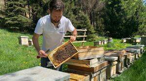 Arno Kronhofer arbeitet seit 35 Jahren mit Bienen 