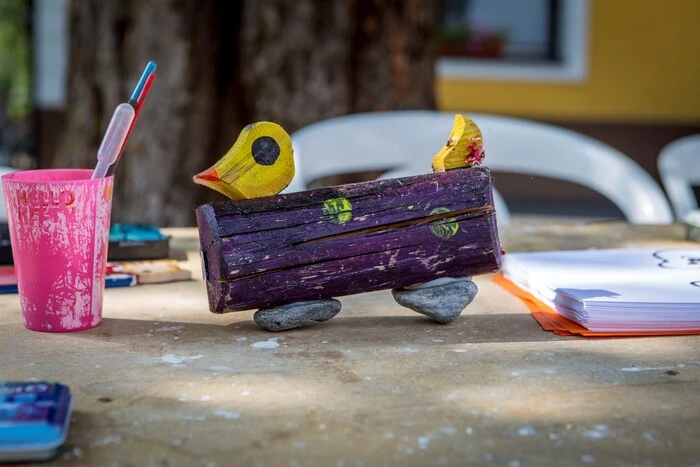 So sehen die Enten aus, die im Mühlbach ins Rennen gehen werden