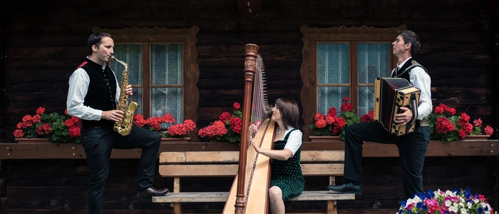 Drei Musiker musizieren gemeinsam