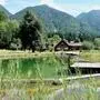 Vor 30 Jahren wurde das erste Naturschwimmbad Kärntens in Radnig in Betrieb genommen