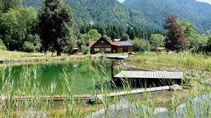 Vor 30 Jahren wurde das erste Naturschwimmbad Kärntens in Radnig in Betrieb genommen