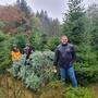 Norbert Santner, Präsident des Rotary Clubs Spittal, mit einem der Christbäume