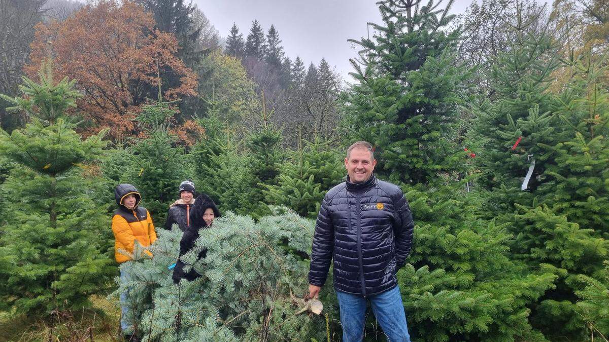 Norbert Santner, Präsident des Rotary Clubs Spittal, mit einem der Christbäume