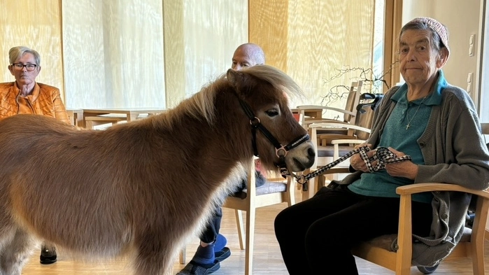 Pony „Ostwind“ löst bei den Senioren oft große Gefühle aus und weckt Erinnerungen