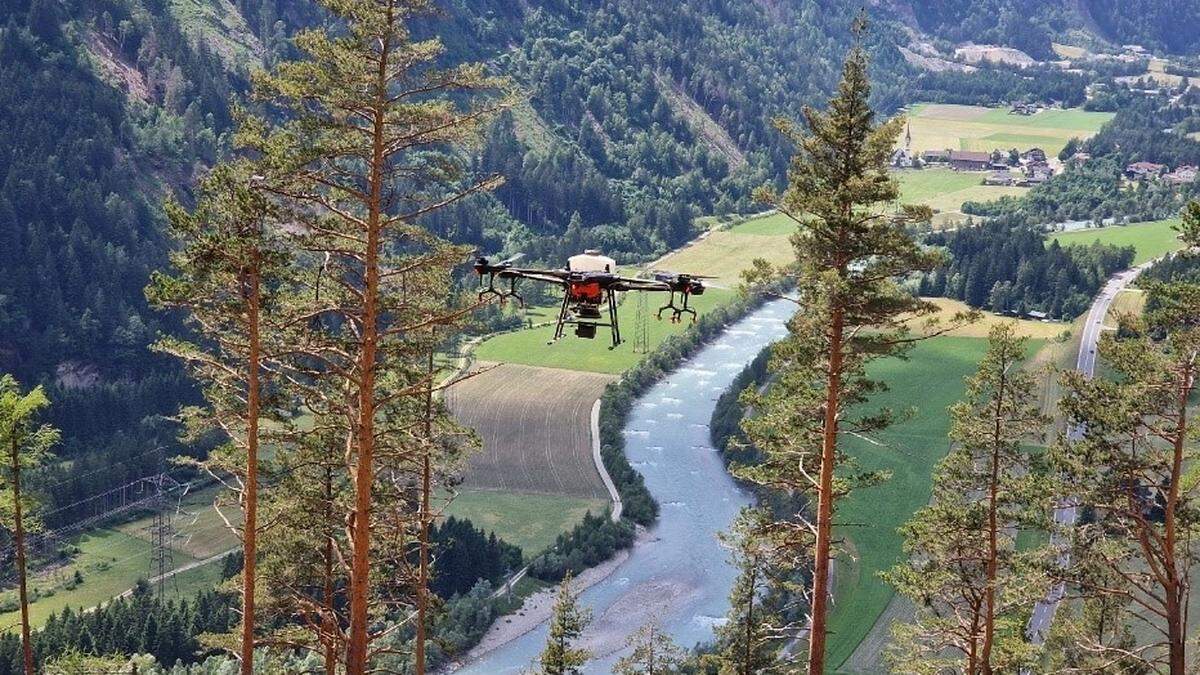 Drohne im Einsatz zur Aussaat von Baumsamen