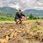 Peter Buchacher ist einer der Osttirol Frühkartoffel-Bauern 