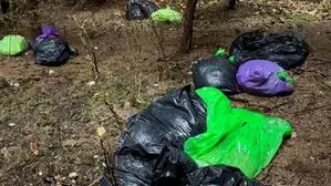 Im November des Vorjahres wurden Müllsäcke in einem Wald am Verditz entdeckt 