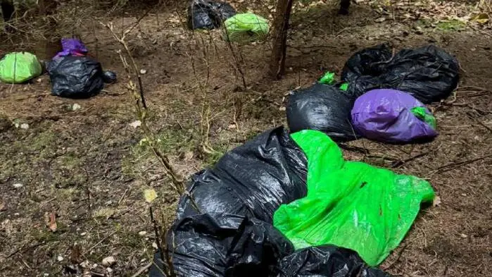 Im November des Vorjahres wurden Müllsäcke in einem Wald am Verditz entdeckt 