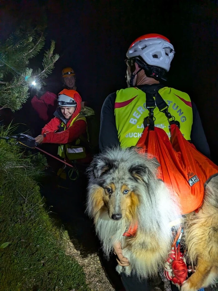 Auch der Hund konnte gerettet werden