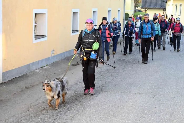 Auch tierische Begleitung darf nicht fehlen.