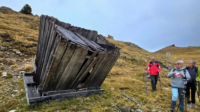 Eine Holzhütte steht auf dem Kopf