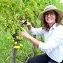 Romana Candussi, begeisterte Winzerin, ist seit März Obfrau des Marktplatzes Mittelkärnten