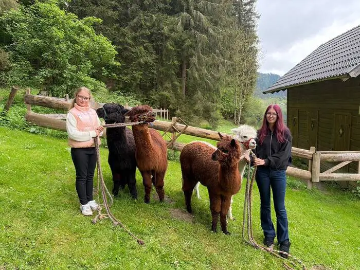 Die Teilnehmer starten flauschig in den Tag