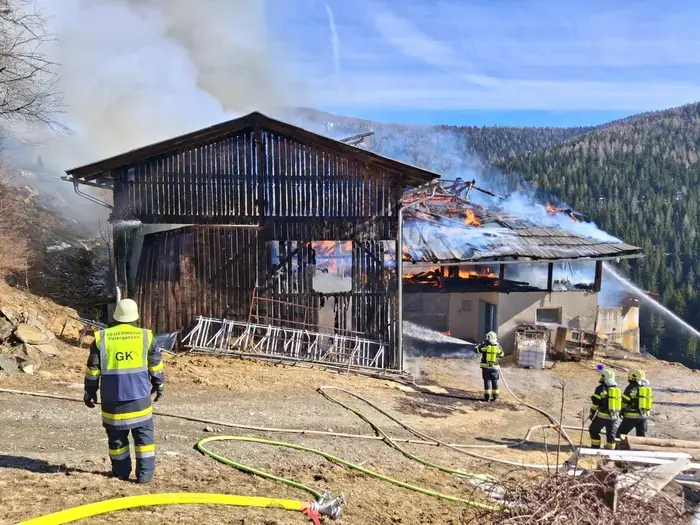 40 Rinder wurden aus dem Gebäude gerettet 