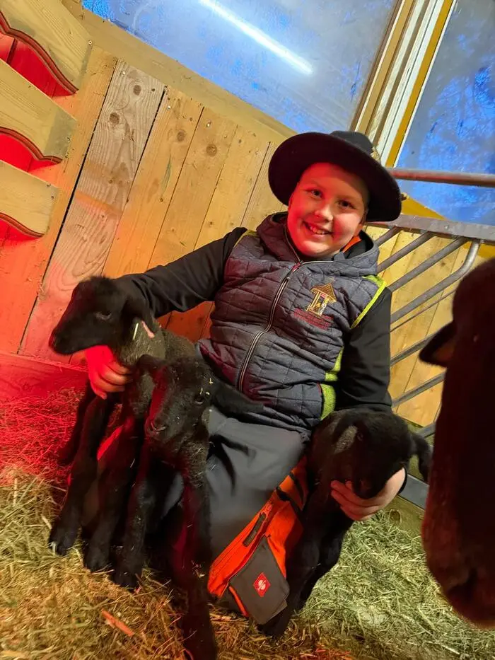 Sohn Jonas mit drei der vier Schafe 