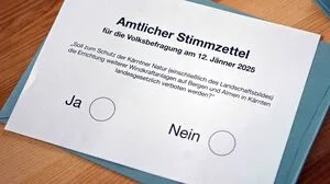 Am 12. Jänner des Vorjahres stimmten die Kärntner ab